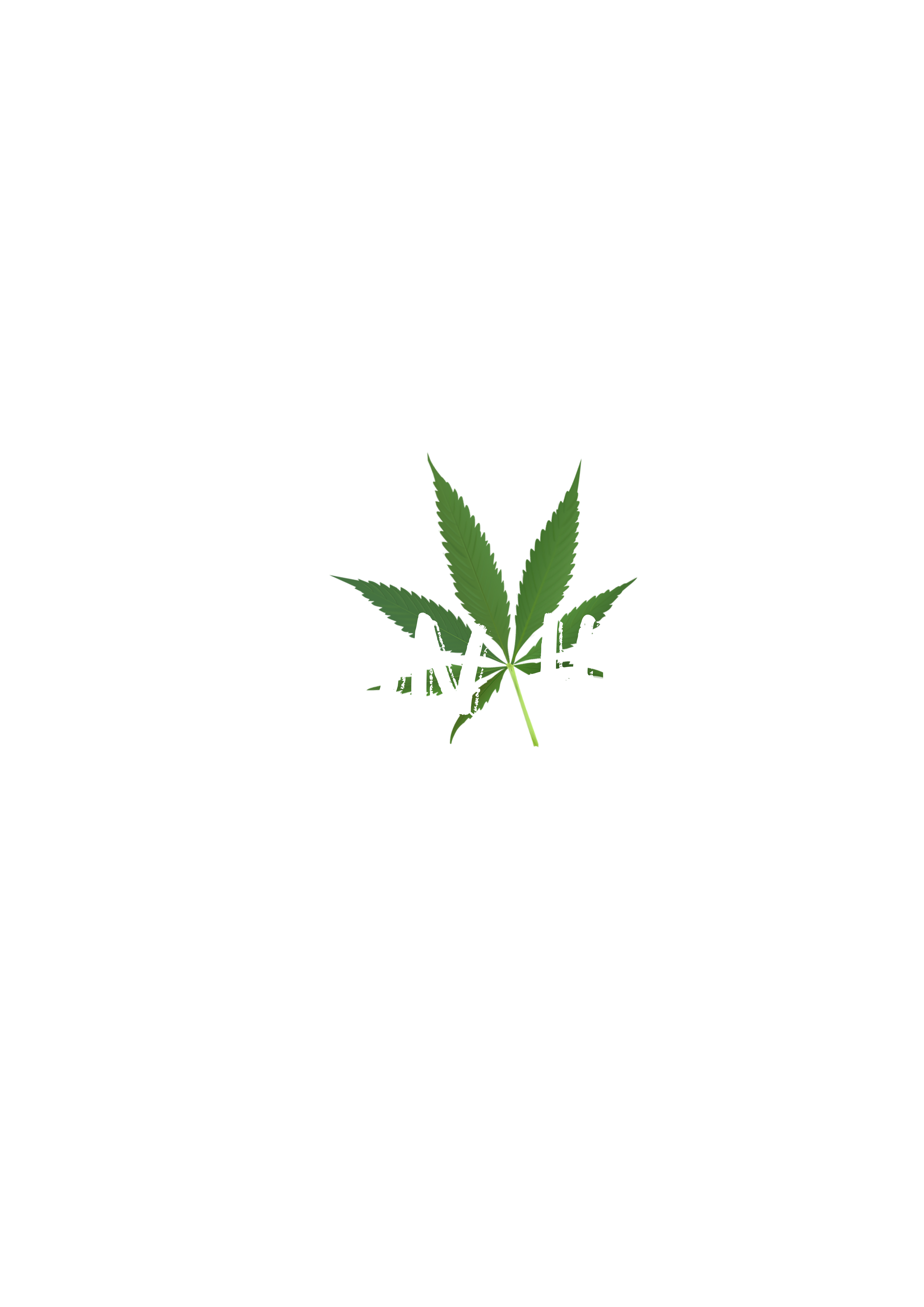 Logo Design by Malibu300 for this project | Design #34120539