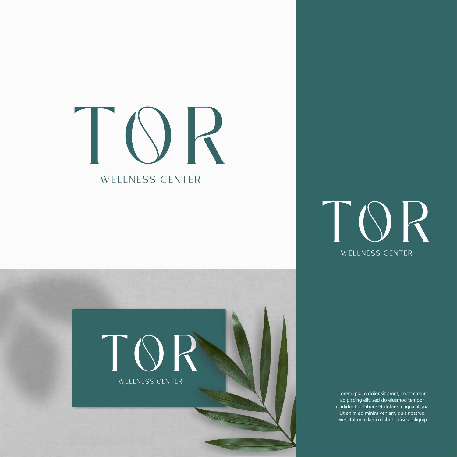 Design de Logo par ThiagoB pour ce projet | Design #34118674