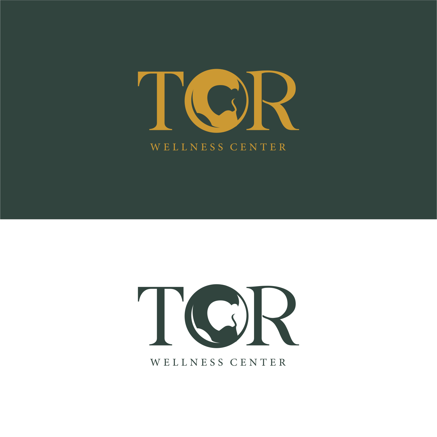 Design de Logo par ThiagoB pour ce projet | Design #34128581