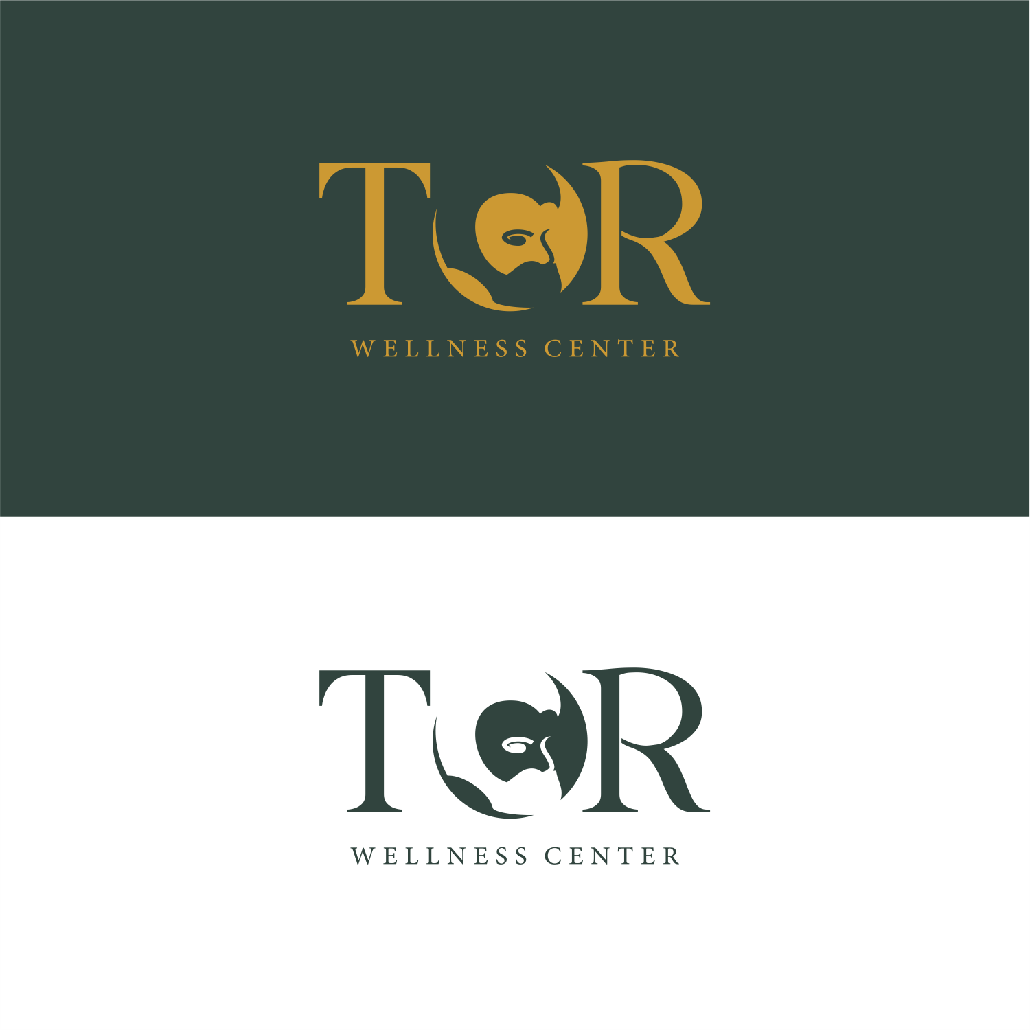 Design de Logo par ThiagoB pour ce projet | Design #34128584