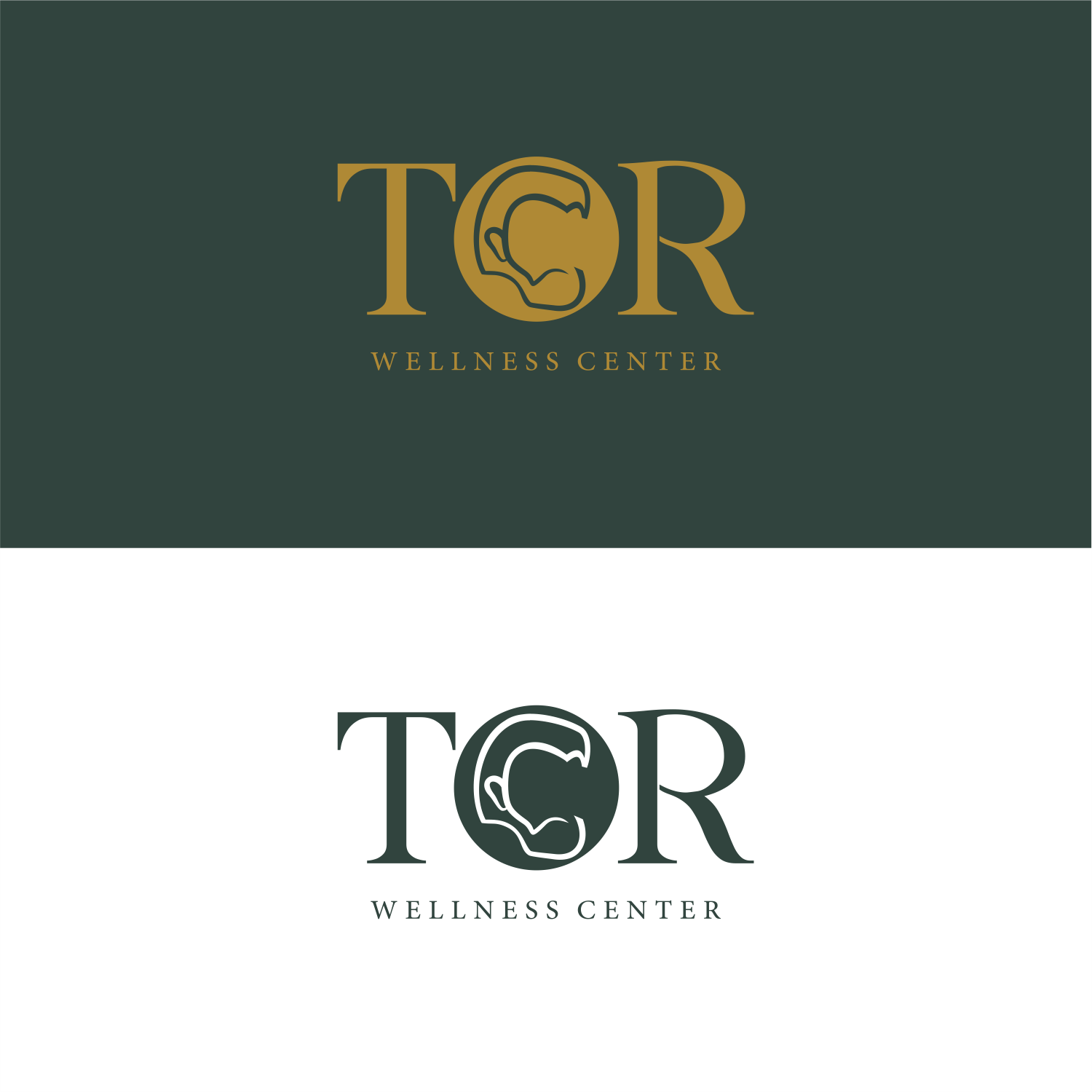 Design de Logo par ThiagoB pour ce projet | Design #34128585