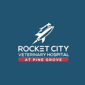 Logo-Design von Casey Kelechi für dieses Projekt | Design: #34113368