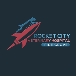 Logo Design by Casey Kelechi for this project | Design #34115456