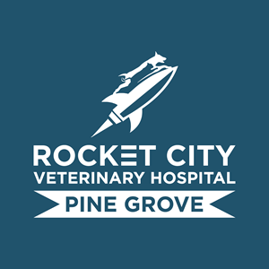 Logo-Design von xum für dieses Projekt | Design: #34117463