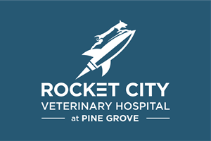 Diseño de Logo por BUNG para este proyecto | Diseño: #34111056