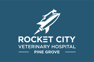 Diseño de Logo por BUNG para este proyecto | Diseño: #34116099