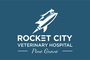 Diseño de Logo por BUNG para este proyecto | Diseño: #34116130