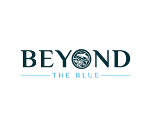 Logo Design by Design Builder.