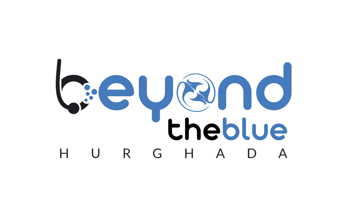 Logo Design by Zonda Studio for this project | Design #34120154