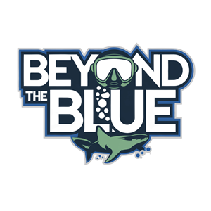 Design de Logo par suba.blast pour ce projet | Design : #34122753