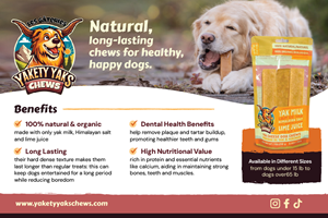 Postcard Design by Mikai!13 for 9521-8087 Québec inc. | Design: #34124746