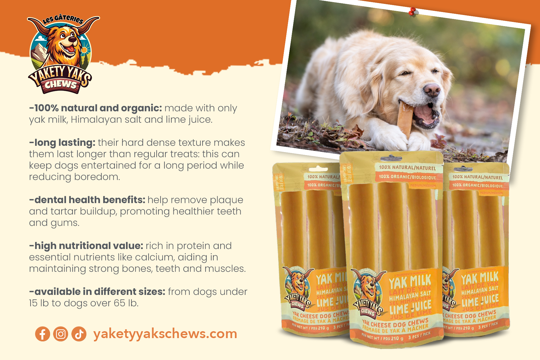 Postcard Design by Andrés Sebastián for 9521-8087 Québec inc. | Design #34133645