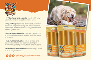 Postcard Design by Andrés Sebastián for 9521-8087 Québec inc. | Design: #34133645