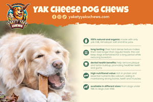 Postcard Design by Andrés Sebastián for 9521-8087 Québec inc. | Design: #34134042