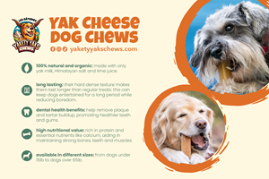 Postcard Design by Andrés Sebastián for 9521-8087 Québec inc. | Design: #34134669