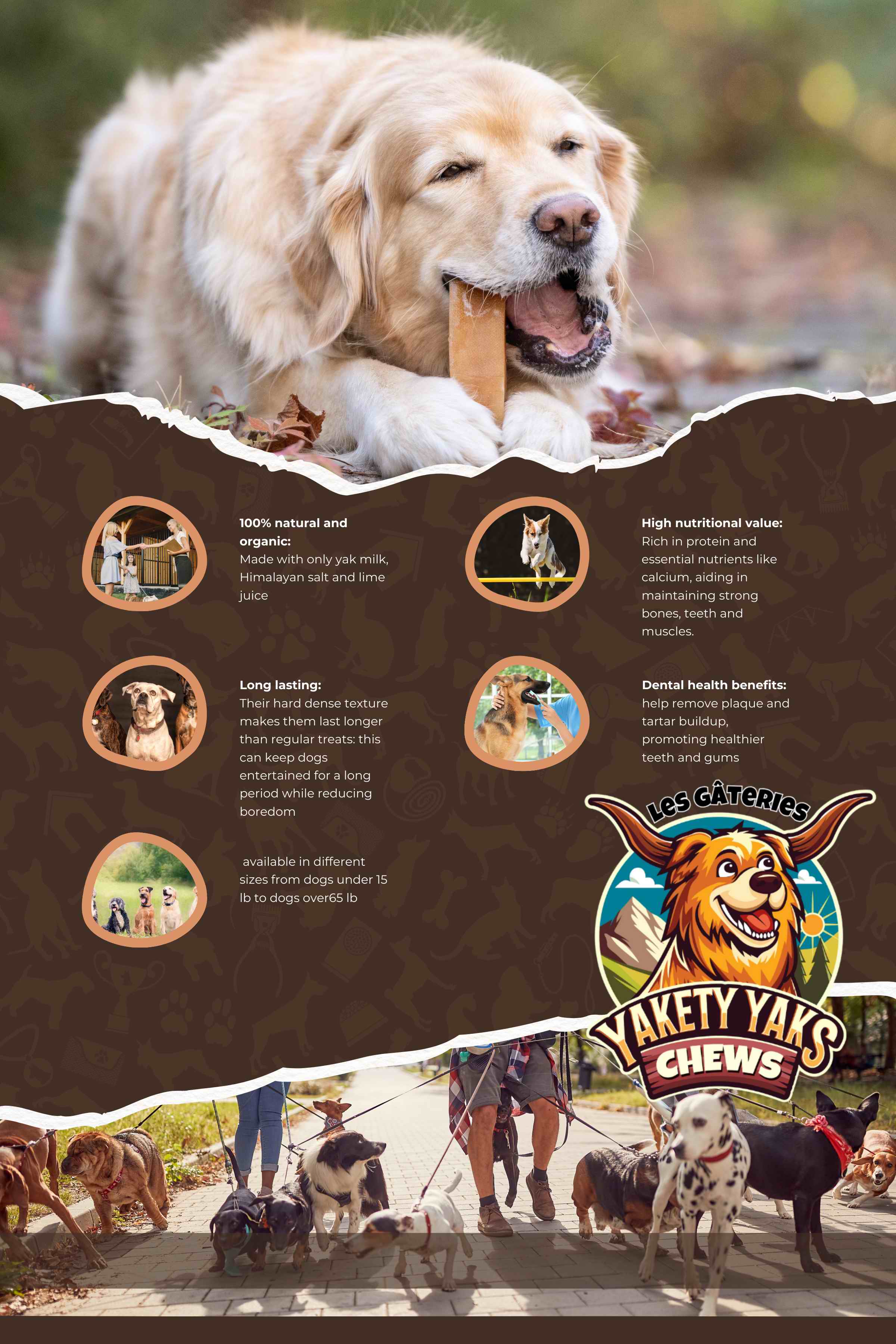 Postcard Design by MOZA Designs for 9521-8087 Québec inc. | Design #34128300