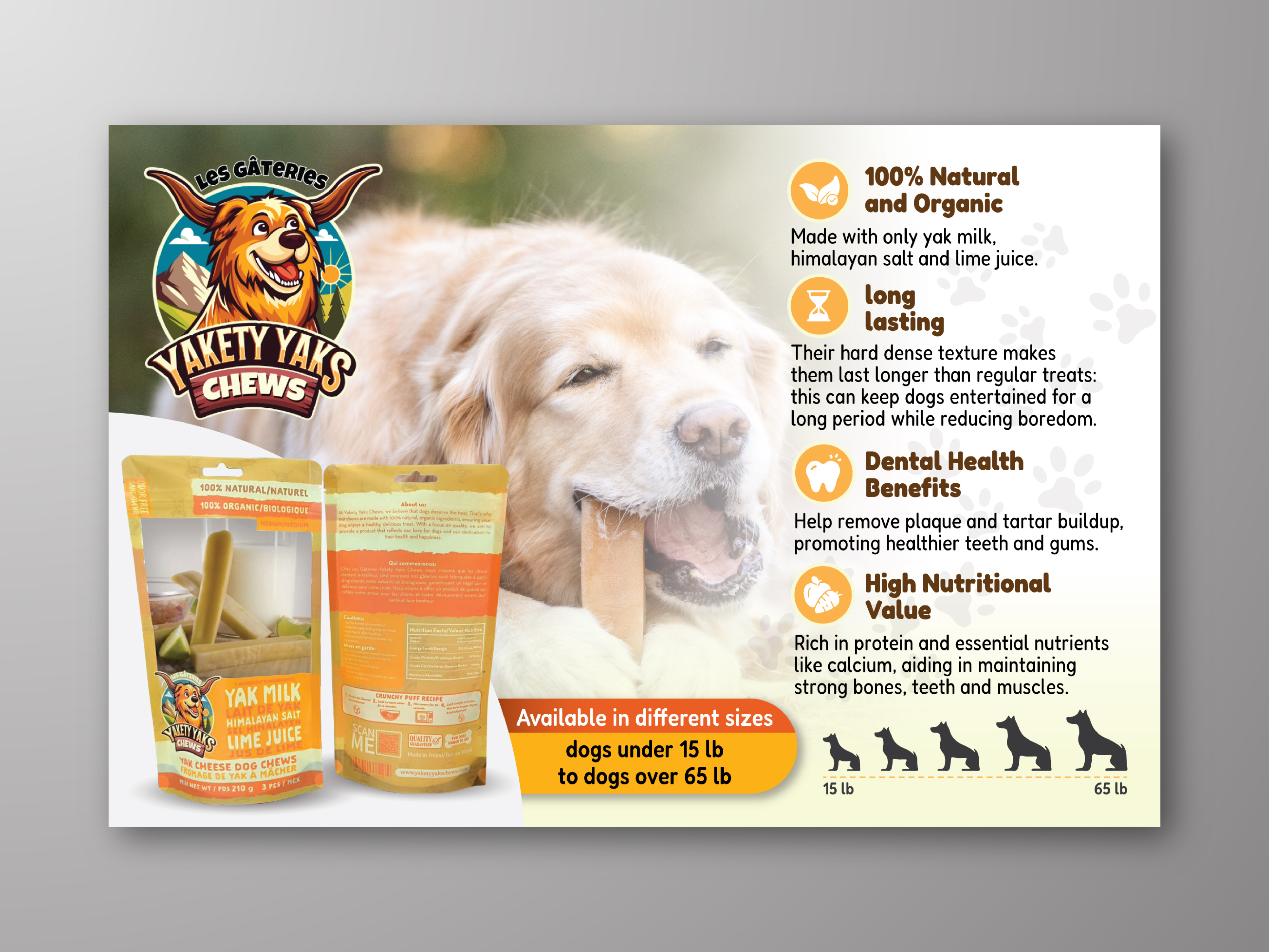 Diseño de Postal por Impressive Sol para 9521-8087 Québec inc. | Diseño #34123820