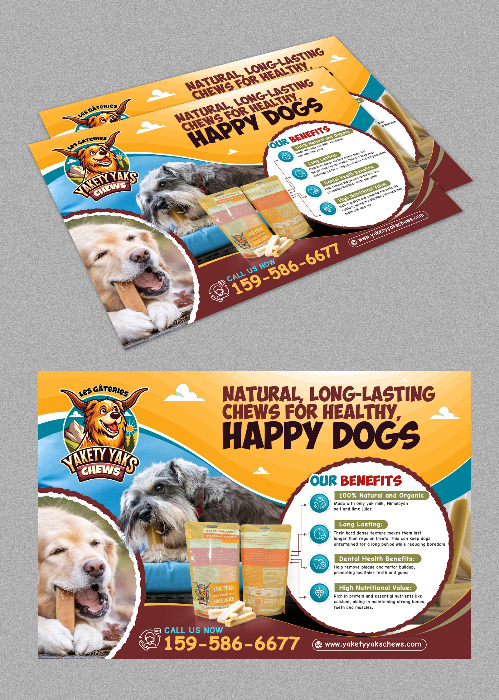 Postcard Design by 123graphics for 9521-8087 Québec inc. | Design #34126145