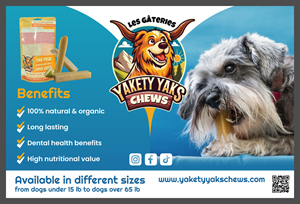 Postcard Design by saurov for 9521-8087 Québec inc. | Design: #34121928