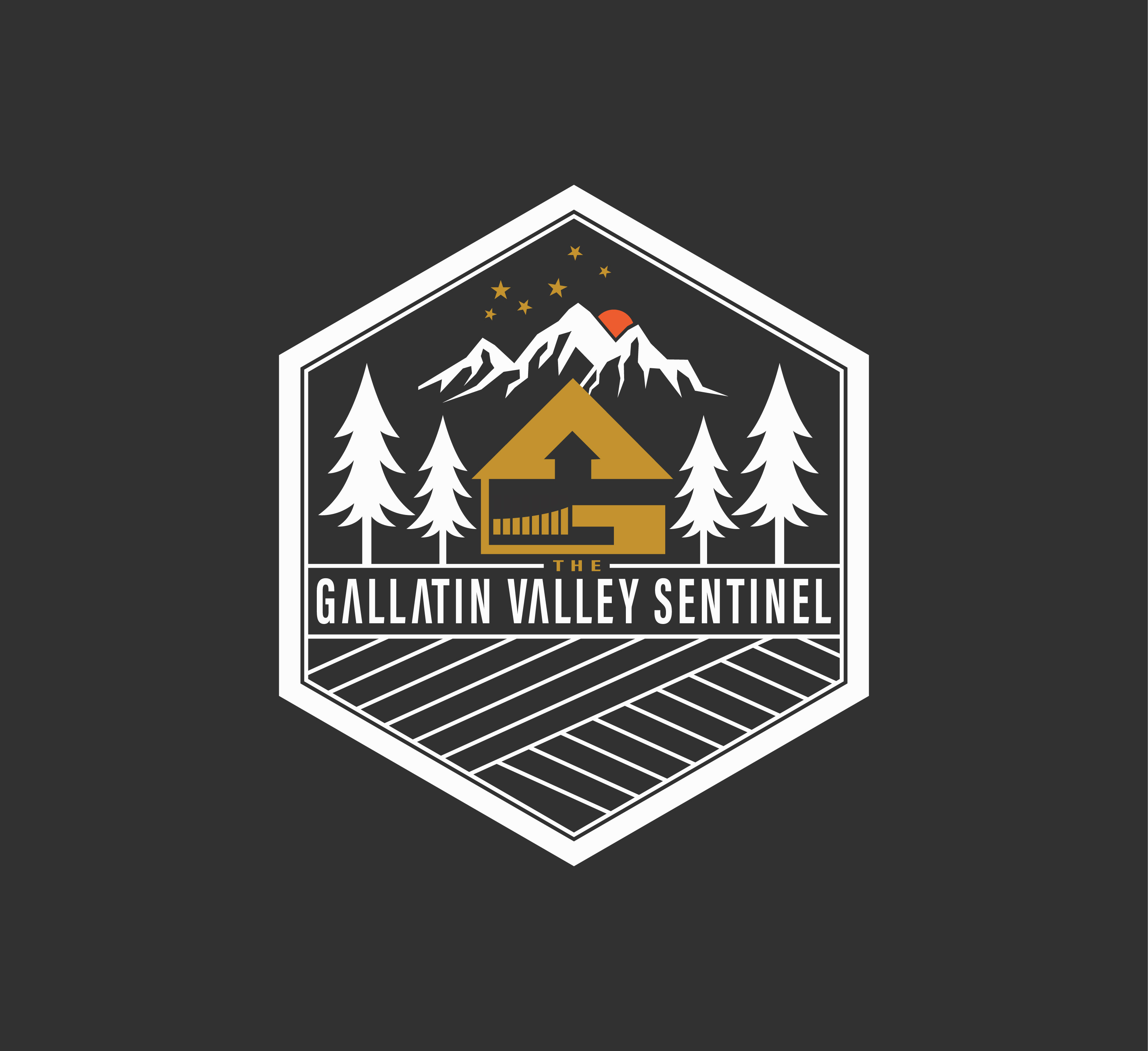 Logo Design by Tube light for this project | Design #34170523