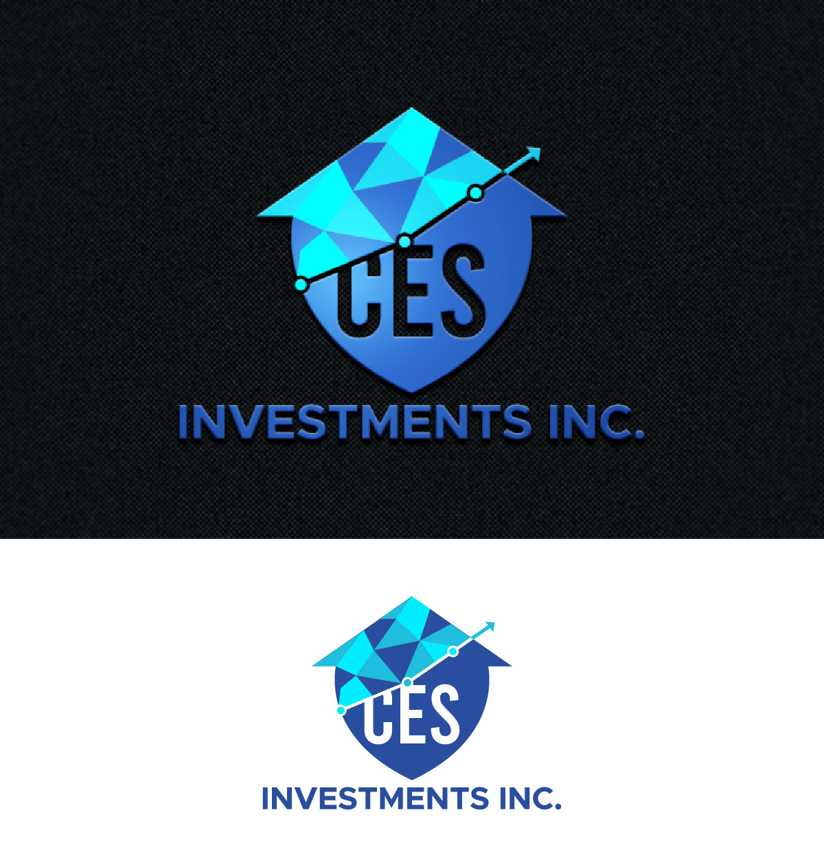 Logo Design by fly  design for this project | Design #34134414