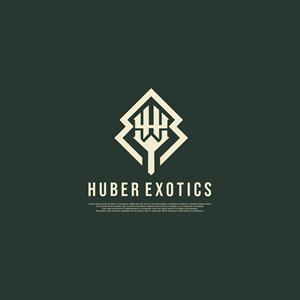 Logo Design by Elysa95 for this project | Design #34169036