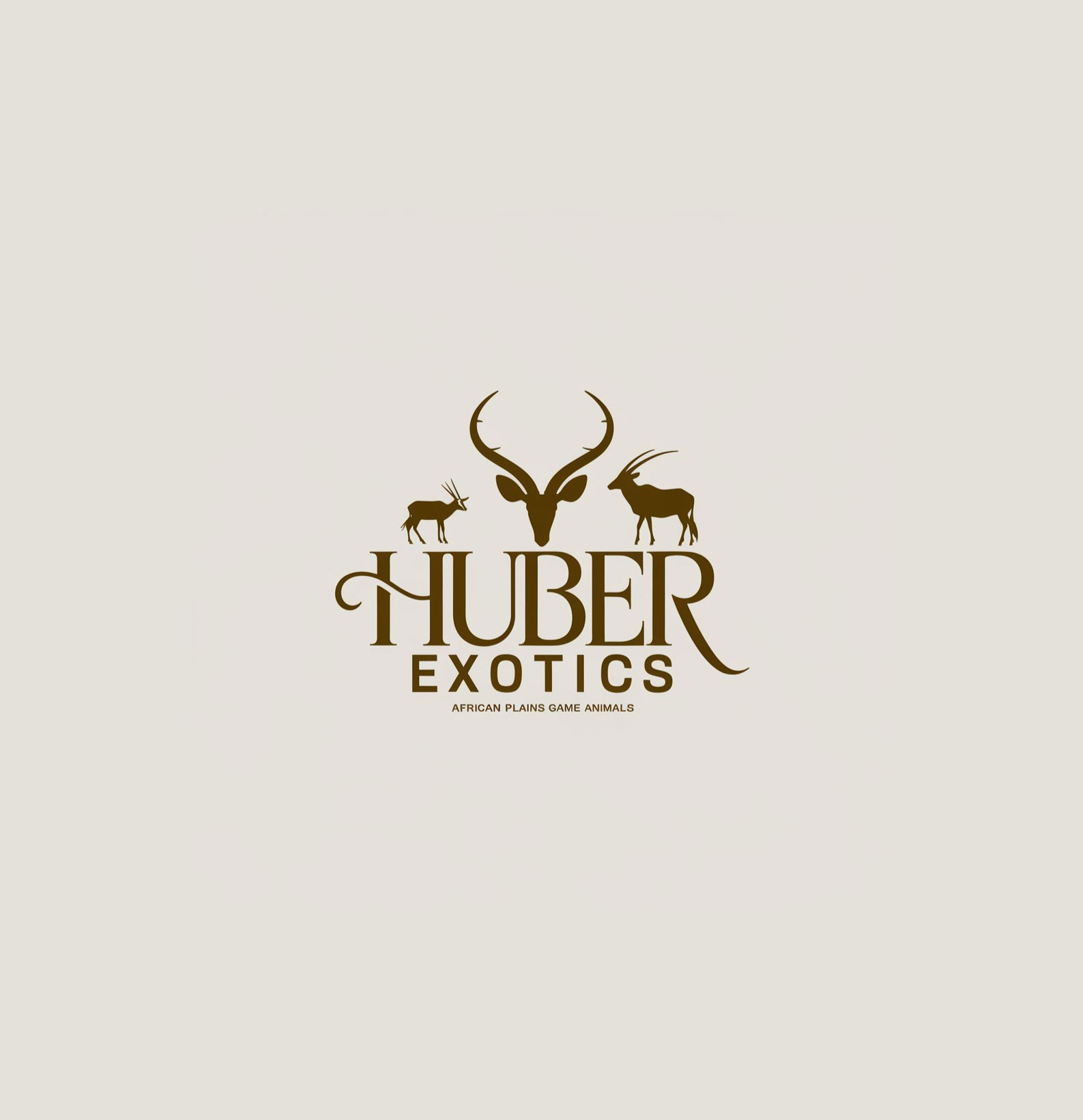 Logo Design by DesignVerse777 for this project | Design #34164856