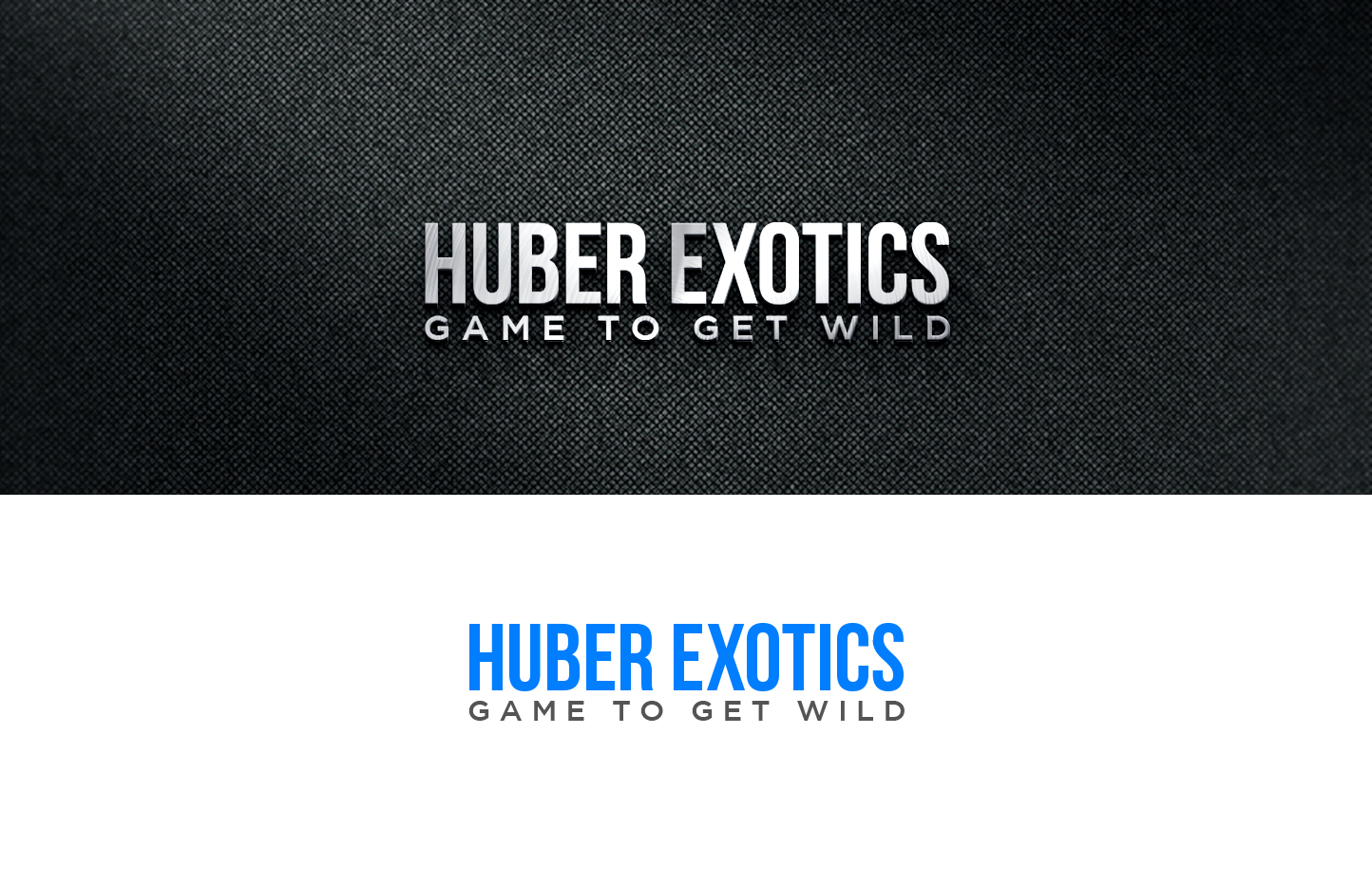 Logo Design by Noor Ezz for this project | Design #34121892