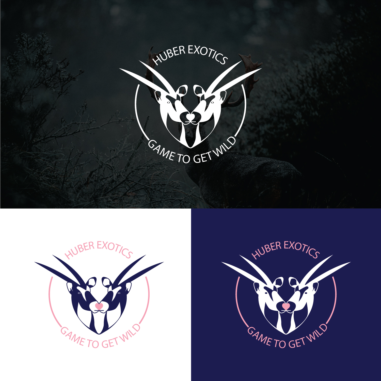 Diseño de Logo por Maxo-Biz para este proyecto | Diseño #34126294