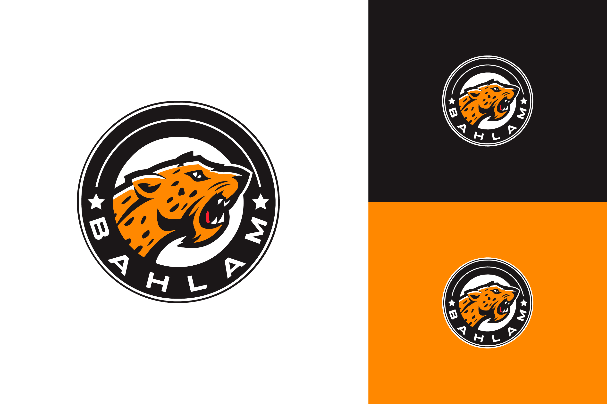 Logo-Design von ShakiJav für dieses Projekt | Design #34128360
