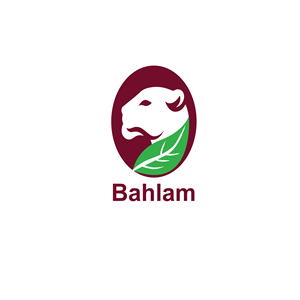 Logo Design by Pint & Promotional Projects for this project | Design: #34166110