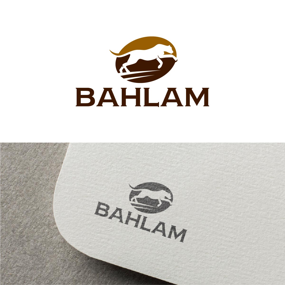 Logo Design by fly  design for this project | Design #34134521