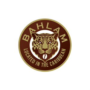 Logo Design by ares_h1