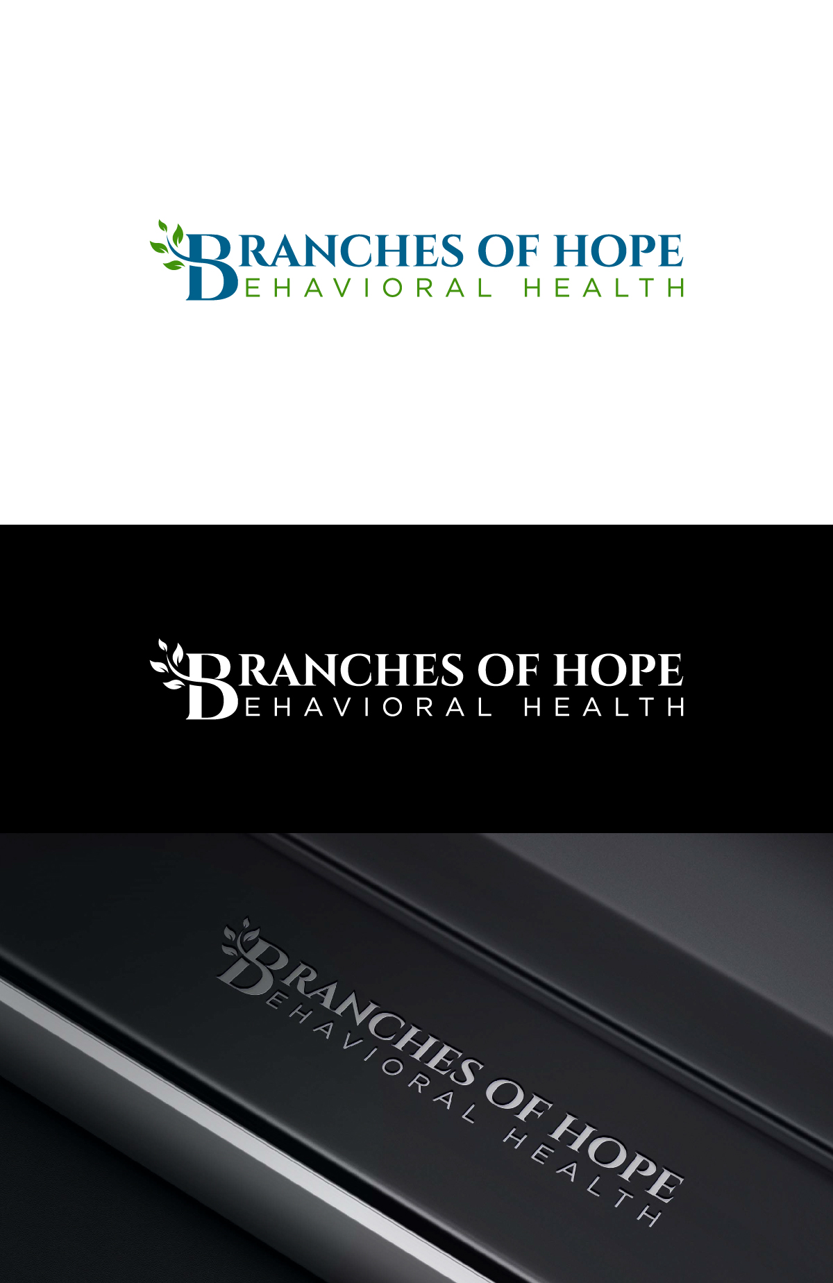 Logo Design by Barish Design for this project | Design #34128172