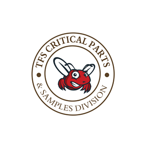 Logo Design by Nahom Shiferaw