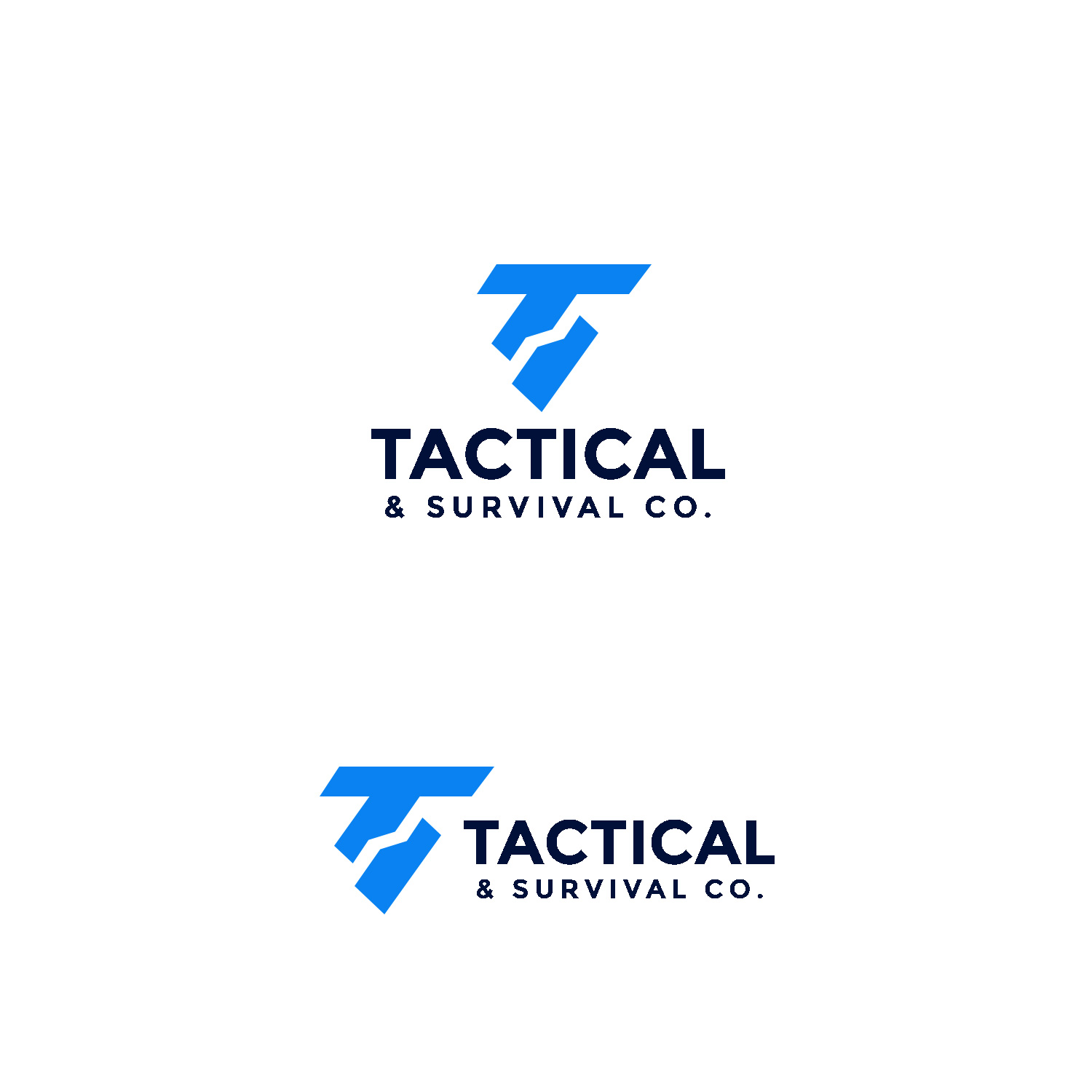 Diseño de Logo por Suvendu.S para Shellback Consulting Services | Diseño #34143563