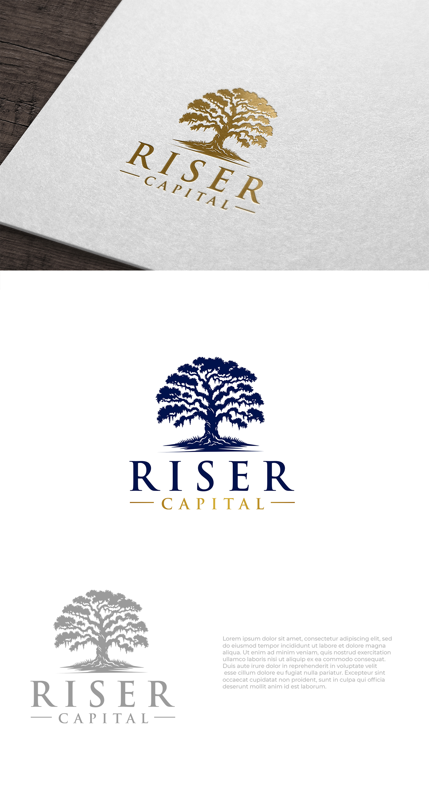 Logo-Design von Jelena B für RISER CAPITAL | Design #34145362