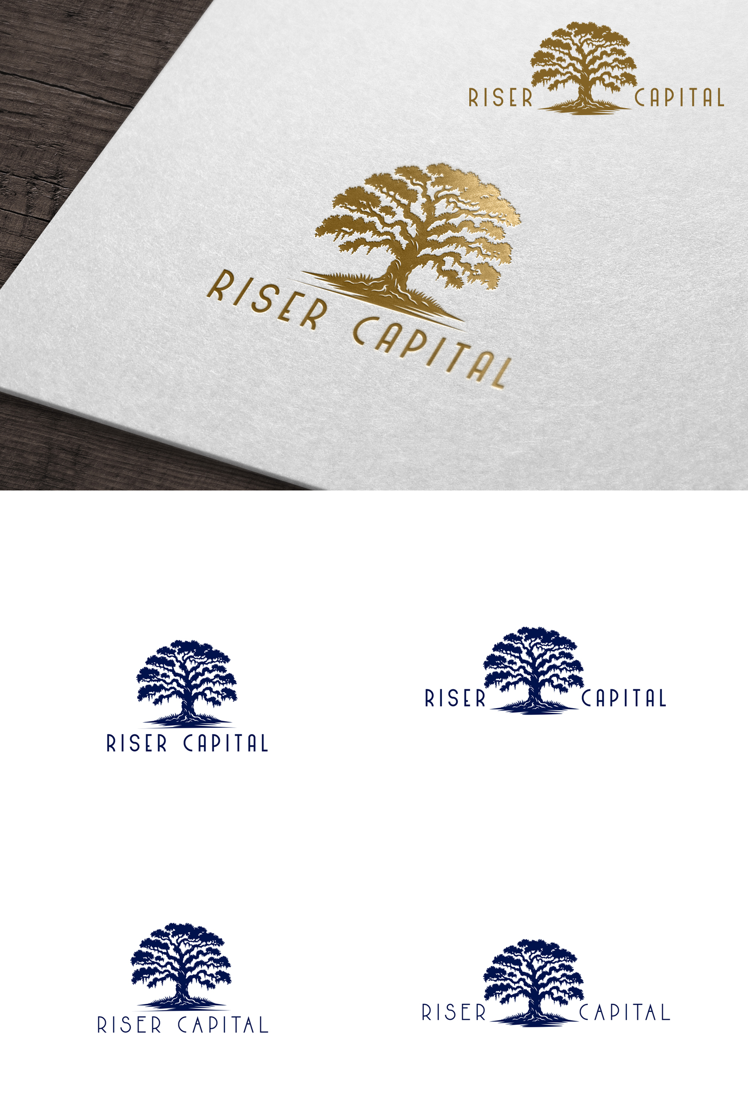 Logo-Design von Jelena B für RISER CAPITAL | Design #34153028
