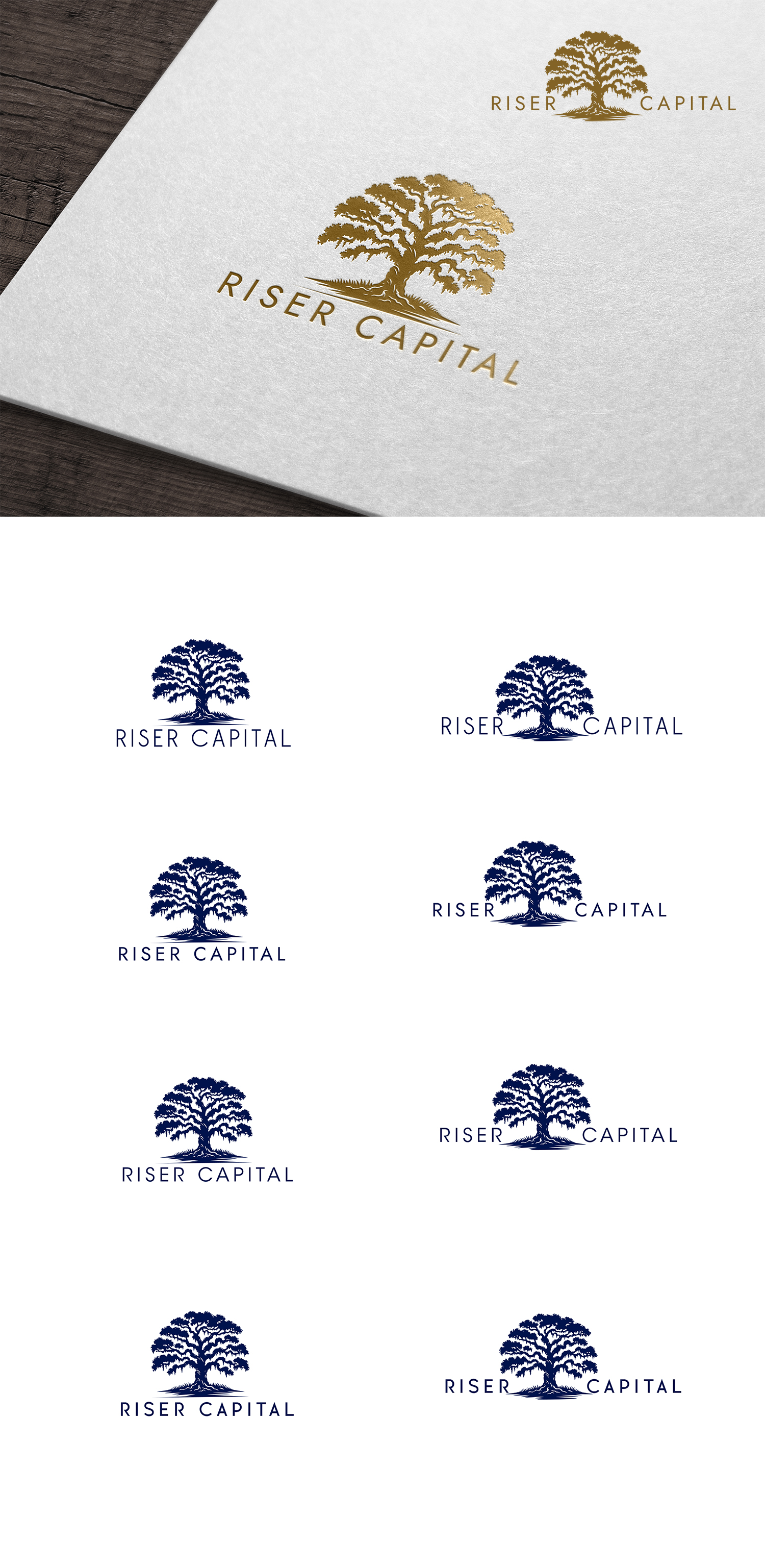 Logo-Design von Jelena B für RISER CAPITAL | Design #34153029