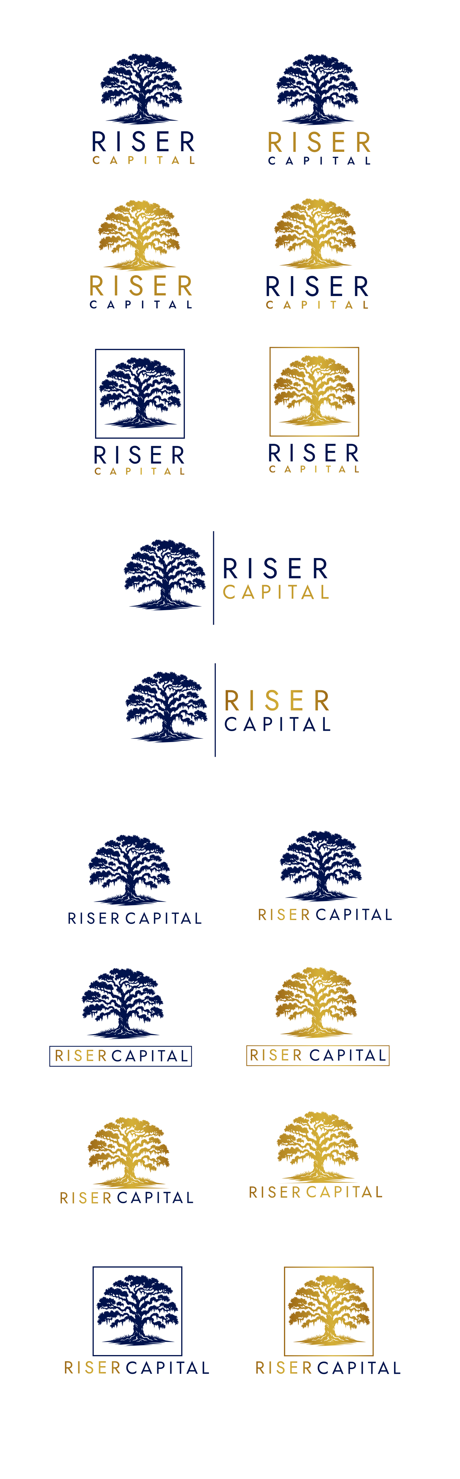 Logo Design by Jelena B for RISER CAPITAL | Design #34157358