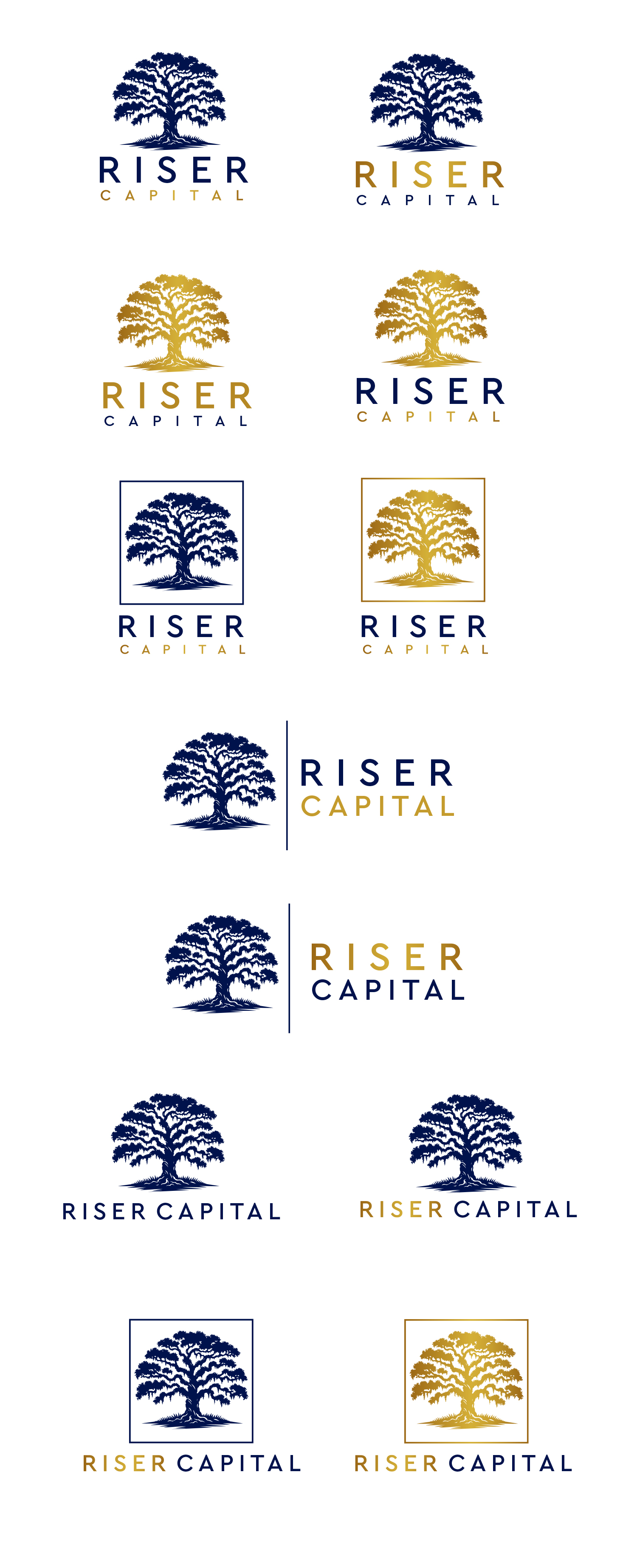 Logo Design by Jelena B for RISER CAPITAL | Design #34157375
