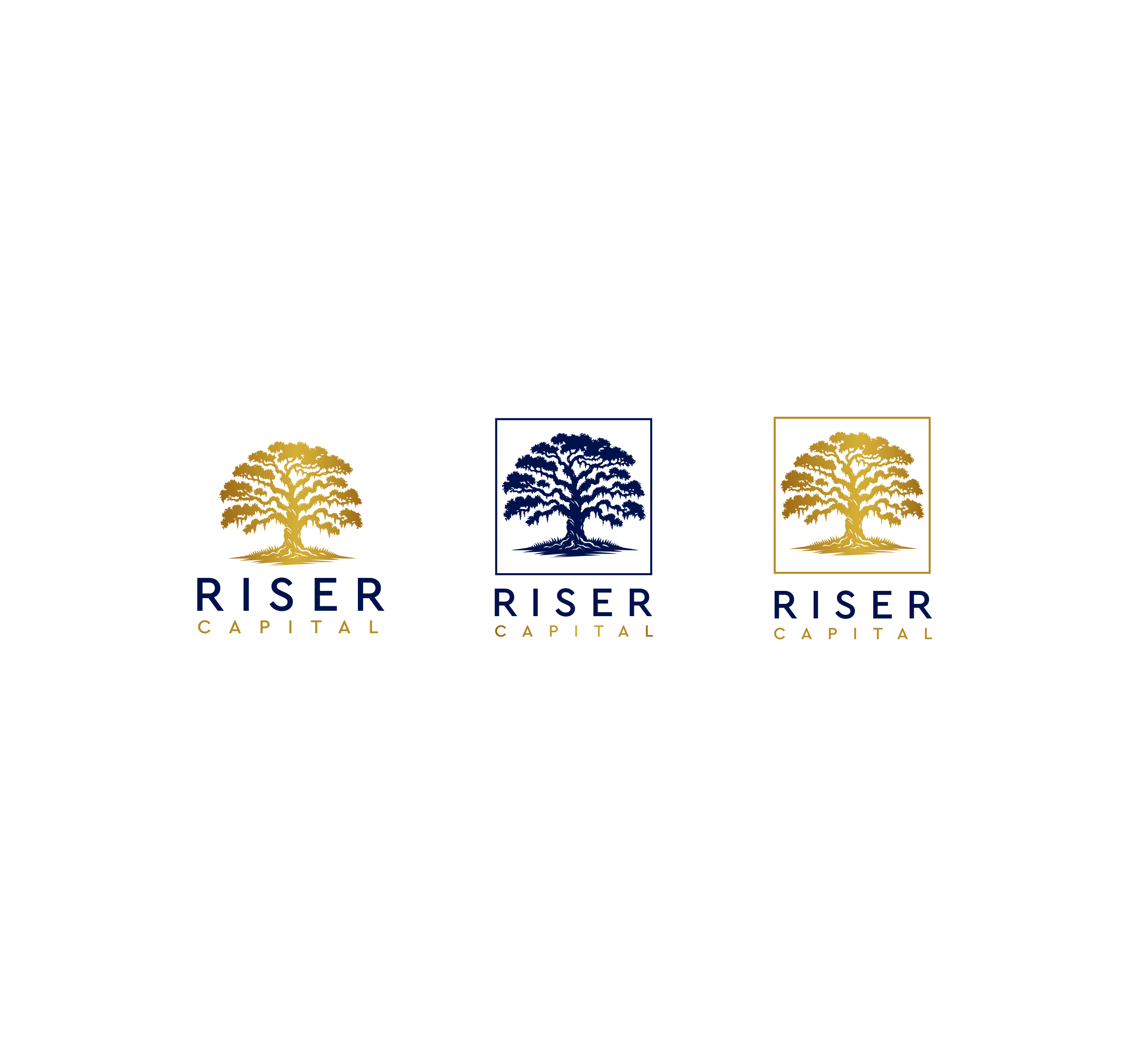 Logo Design by Jelena B for RISER CAPITAL | Design: #34159651