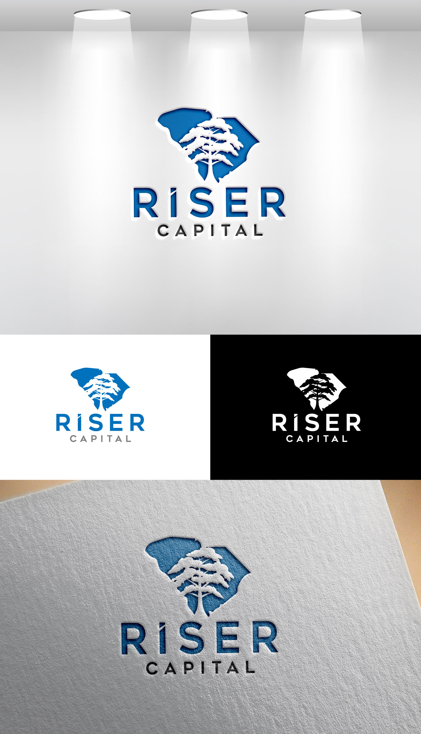 Logo Design by Mi Design1 for RISER CAPITAL | Design #34146238