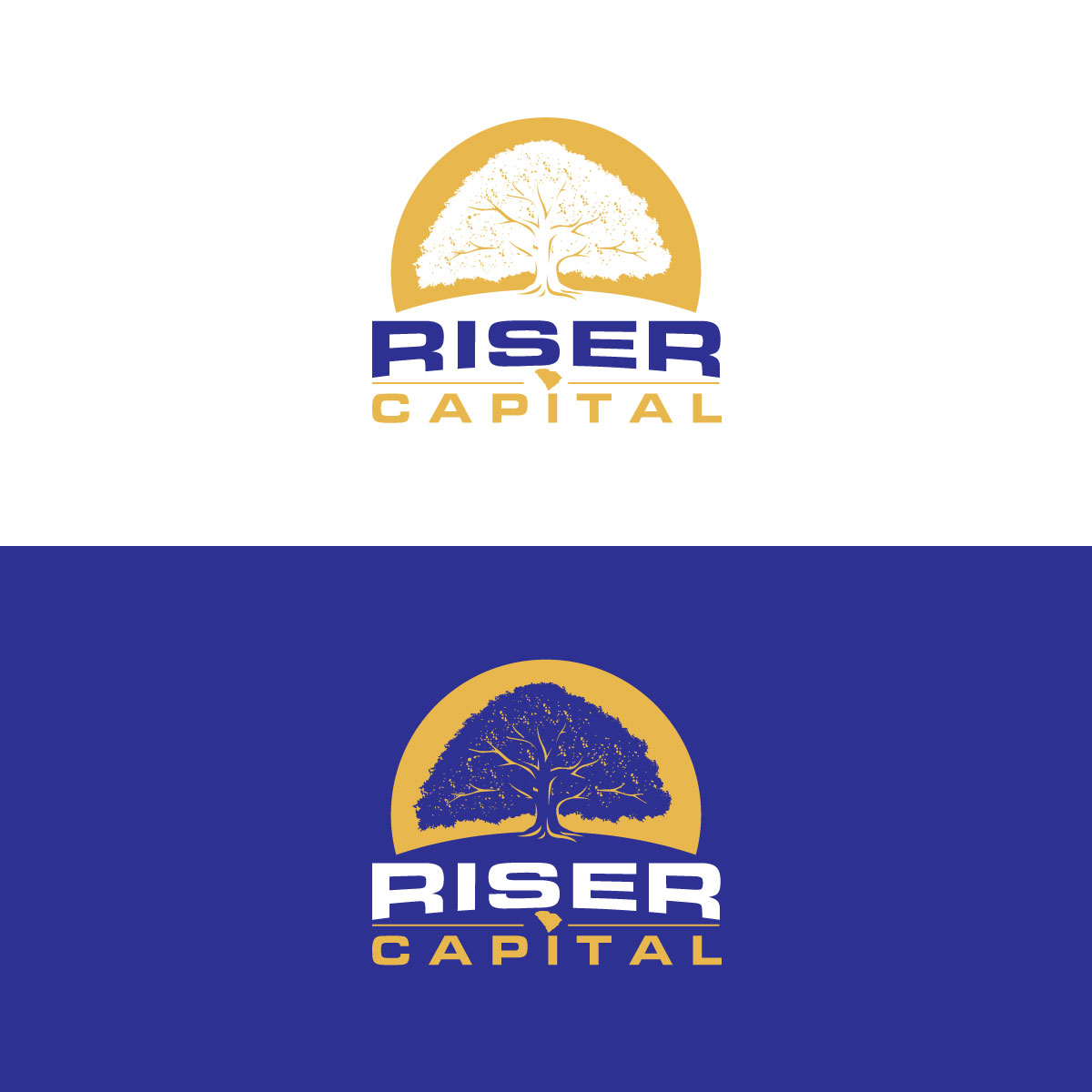Logo Design by prodesigns99 for RISER CAPITAL | Design #34145004