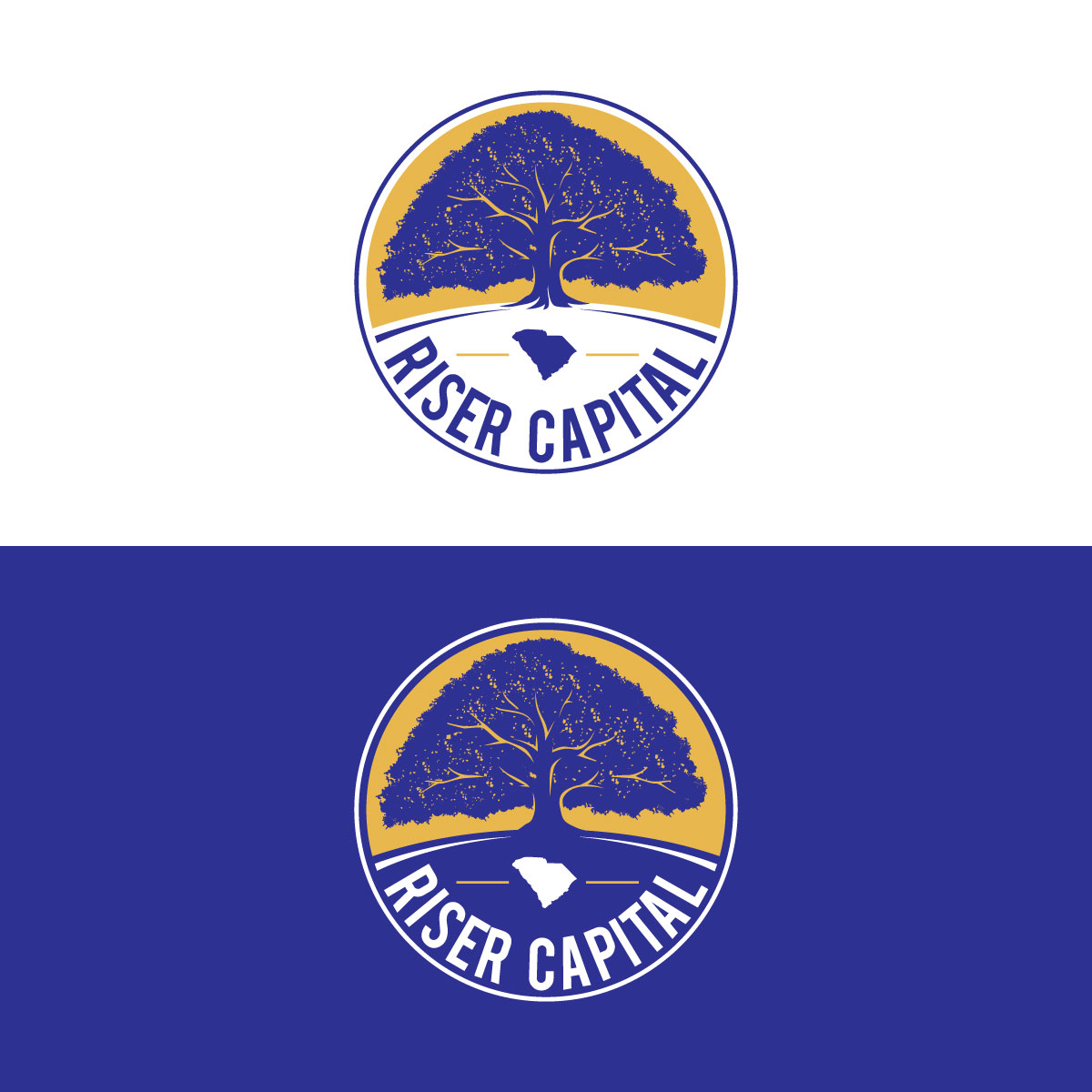 Logo Design by prodesigns99 for RISER CAPITAL | Design #34145006
