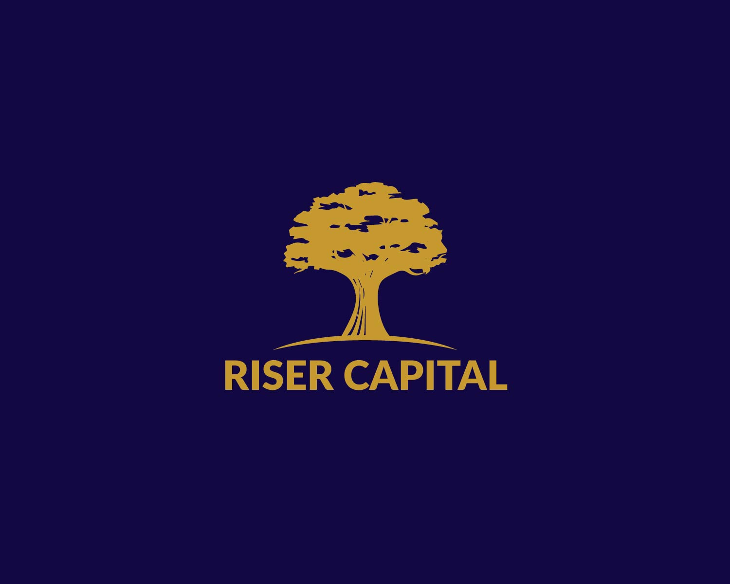 Logo Design by Isnah Logo for RISER CAPITAL | Design #34148342