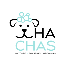 Design de Logo par marimoodie pour ce projet | Design : #34331042