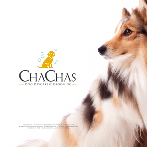 Design de Logo par creative.visuals pour ce projet | Design #34550821
