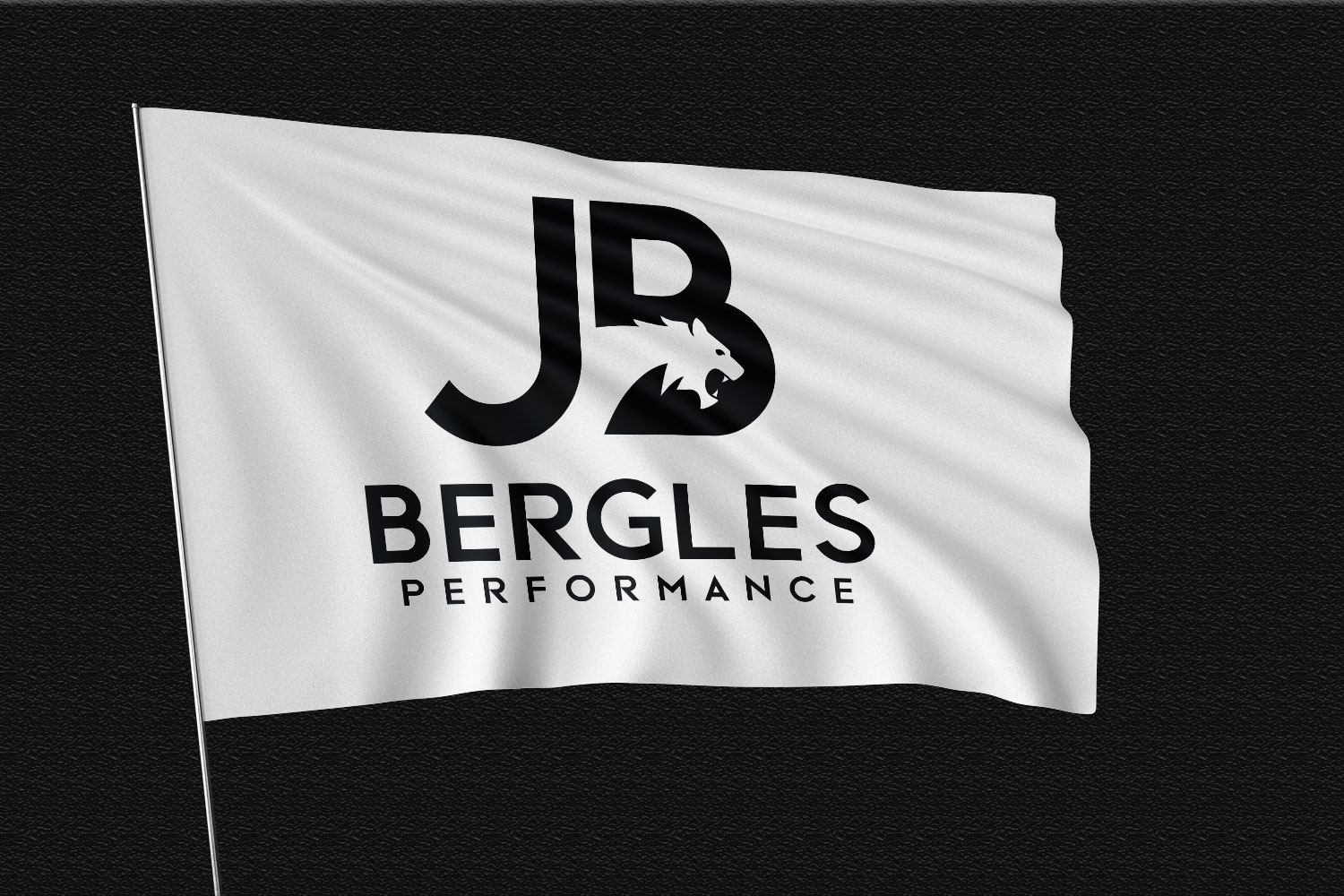 Logo Design by Abdul 20 for this project | Design #34185240