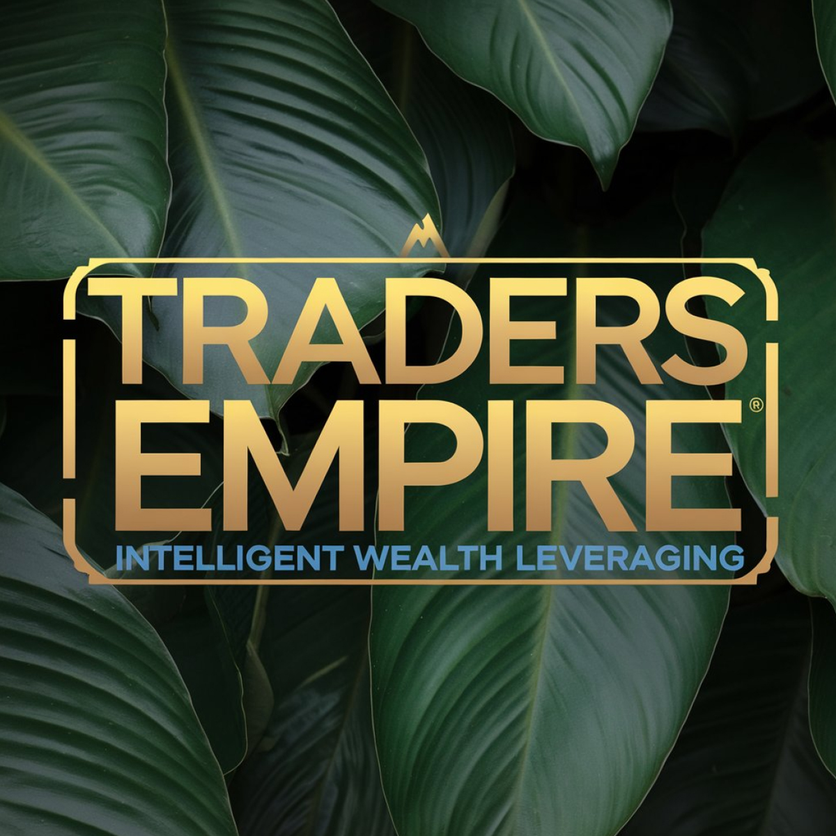 Logo Design by mekail for Ingenious Business Solutions, LLC | Design #34154277